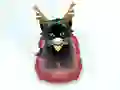 Гульня Pet Sledding онлайн