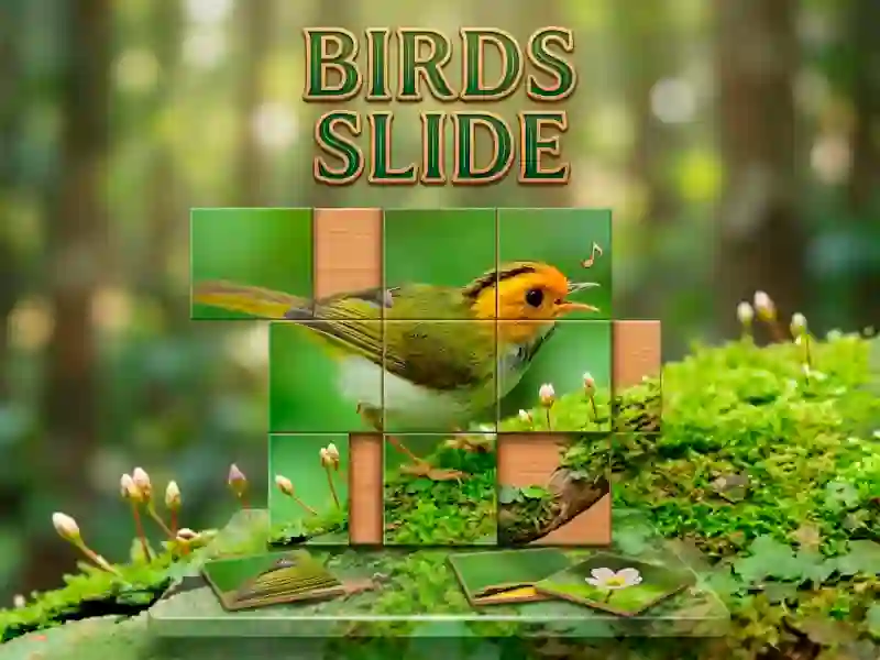 Гульня Birds Slide онлайн