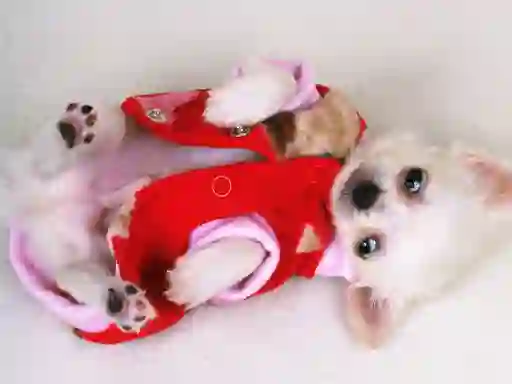 Гульня Lovely Puppy Slide онлайн
