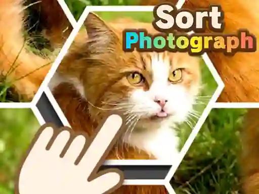 Гульня Sort Photograph онлайн