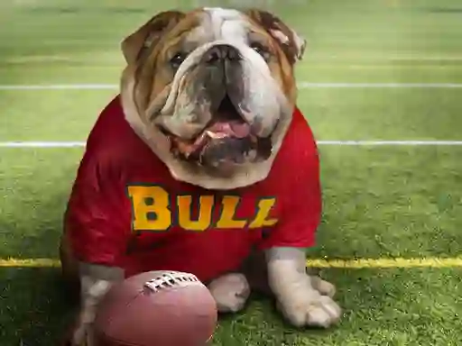 Гульня Funny Doggy онлайн