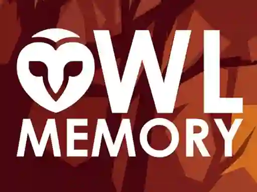 Гульня Owl Memory онлайн