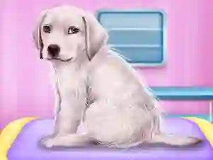 Гульня Labrador at the doctor salon онлайн