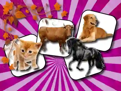 Гульня Domestic Animal Memory Challenge онлайн