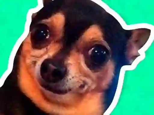 Гульня What meme dog are you ? онлайн