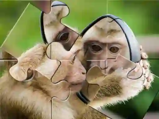 Гульня Chimpanzee Jigsaw онлайн