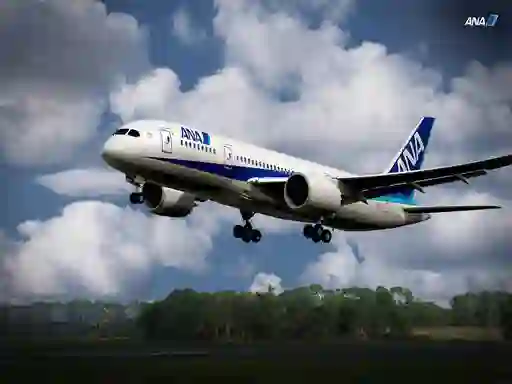 Гульня Boeing Dreamliner Puzzle онлайн