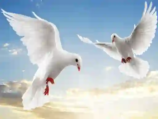 Гульня Flying Birds онлайн