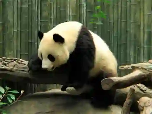 Гульня Pandas Puzzle онлайн