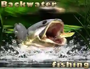 Гульня Backwater Fishing онлайн