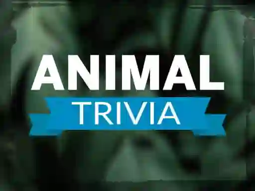 Гульня Animal Trivia онлайн