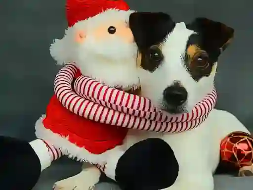 Гульня Funny Christmas Dogs онлайн