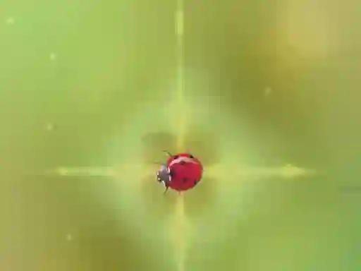 Гульня Pest Control онлайн