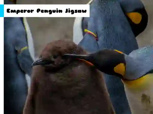 Гульня Emperor Penguin Jigsaw онлайн