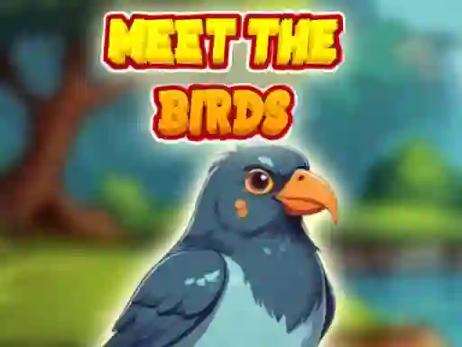Гульня Meet The Birds онлайн