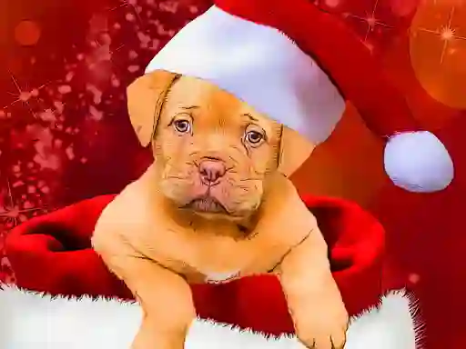 Гульня Christmas Dogs Styles онлайн