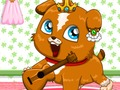 Гульня Pet рулетка  онлайн