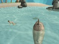 Гульня Shark Simulator Біч забойца  онлайн