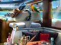 Гульня Caribbean злачыннасці  онлайн