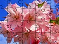Гульня Галаваломкі: Кветкі  онлайн