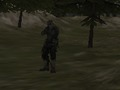 Гульня FPS Агенцтва: Forest  онлайн