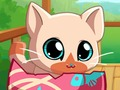 Гульня Маё кішэнныя Жывёлы Kitty Cat  онлайн