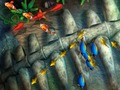 Гульня Рыбалка караля  онлайн