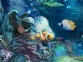 Гульня Патанулы Gold  онлайн