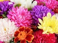 Гульня 2019 Галаваломка ў Дзень маці  онлайн