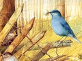 Гульня Птушкі: арт пазлы  онлайн