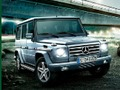 Гульня Пазадарожнік  онлайн