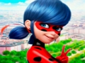 Гульня Калекцыя галаваломкі LadyBug  онлайн