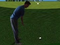 Гульня Flash Golf 3D  онлайн