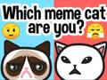 Гульня Які ты мем-кот?  онлайн