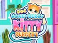 Гульня Хірургія Doc HoneyBerry Kitty  онлайн