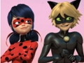 Гульня Пазл Miraculous Ladybug & Cat Noir  онлайн